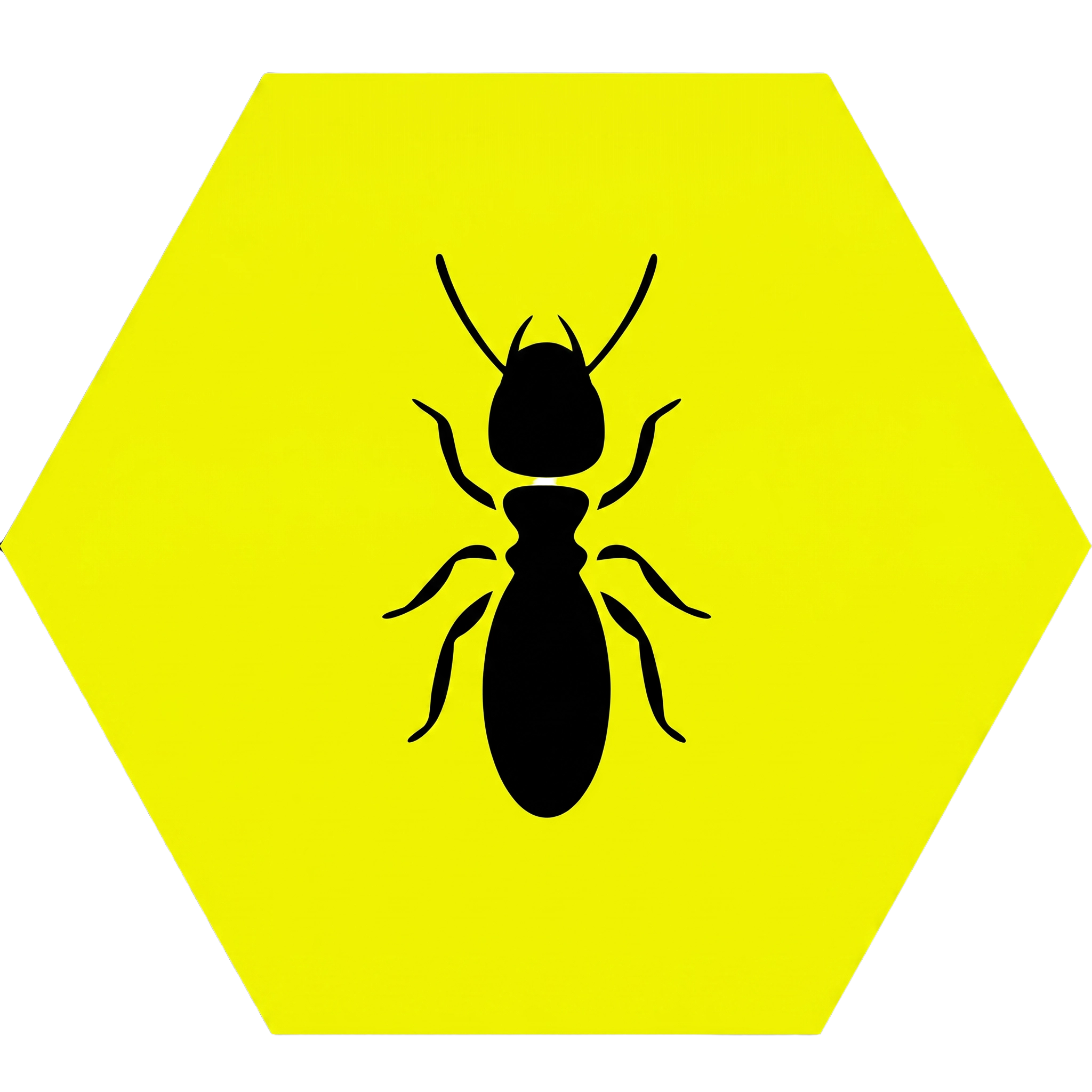 Termite Treatments