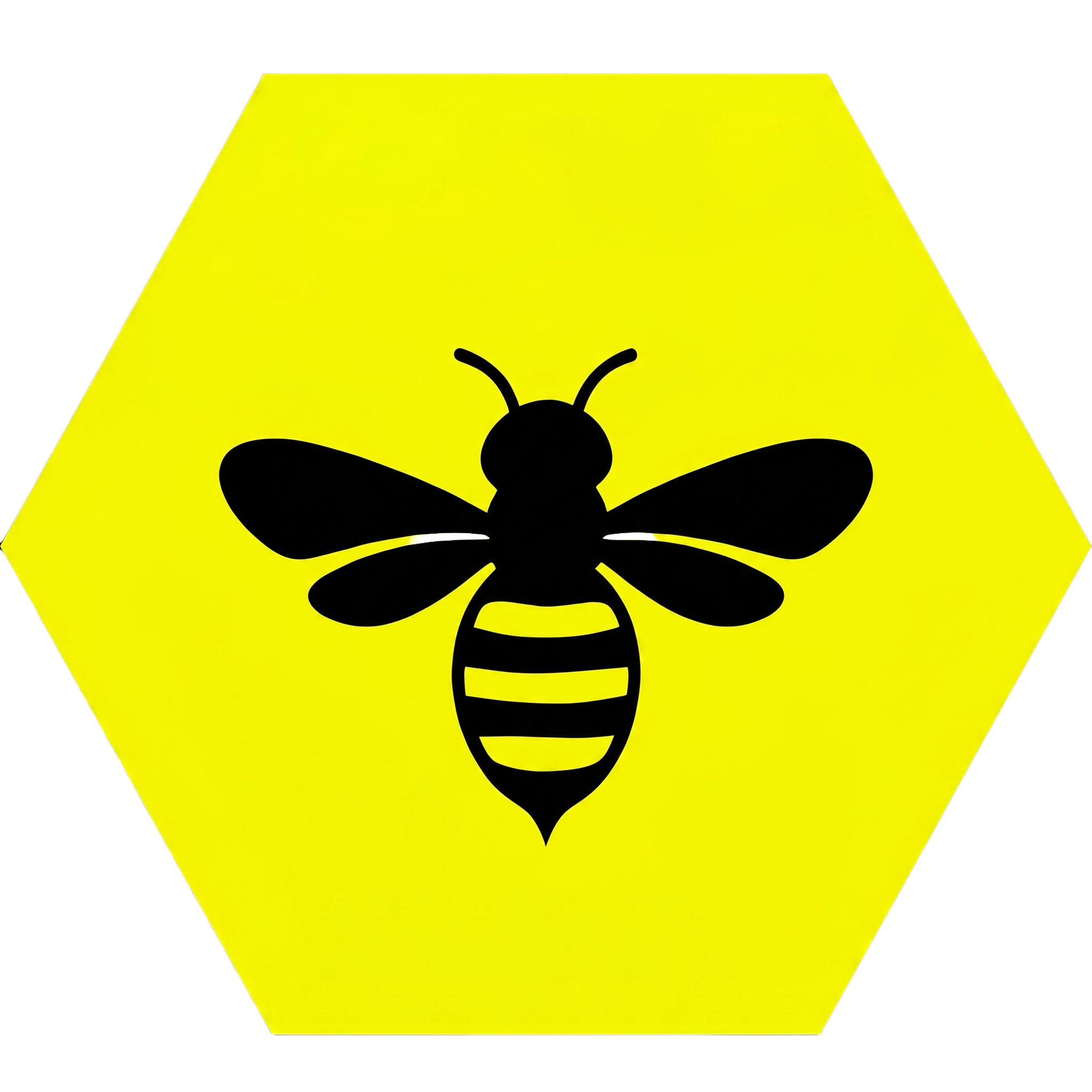 Bee Removal