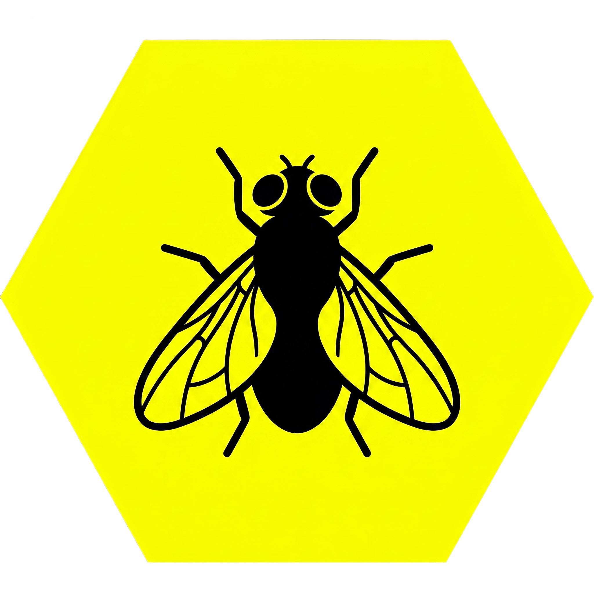 Flying Insect Control